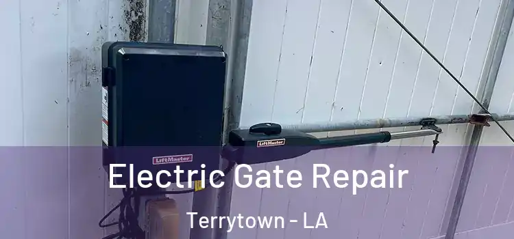 Electric Gate Repair Terrytown - LA