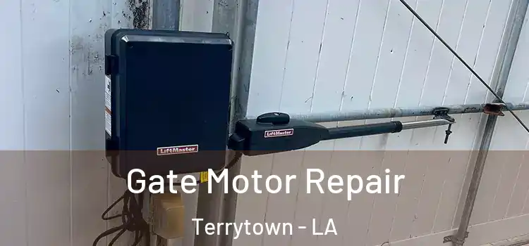 Gate Motor Repair Terrytown - LA