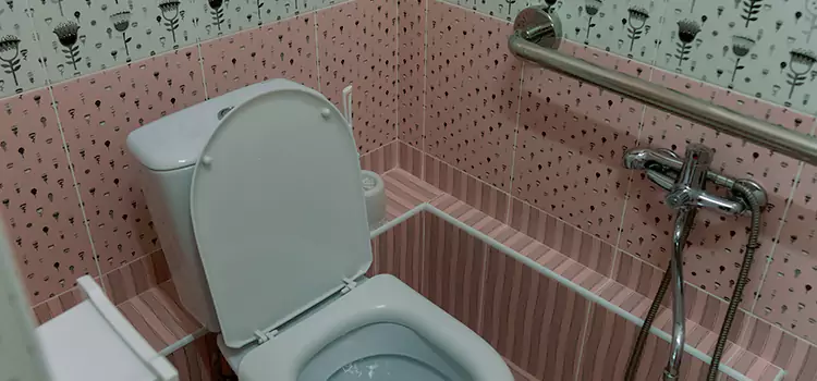Meeting Diverse Needs With Accessible Restroom Solutions in Terrytown, LA